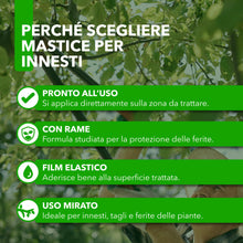 Carica l'immagine nel visualizzatore di Gallery, Mastice Per Innesti E Potature - Con Rame - Antibatterico Pasta Cicatrizzante Curativa Per Ferite Piante Alberi Arbusti 