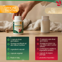 Carica l'immagine nel visualizzatore di Gallery, Berberina con Cromo Picolinato, Silimarina, Cardo Mariano, Coenzima Q10