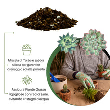 Carica l'immagine nel visualizzatore di Gallery, GebEarth® - Terriccio Professionale per Piante Grasse e Succulente da 1 Litro【 Substrato ideale per Cactacee e altre Pia
