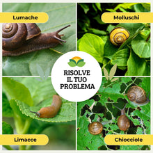 Carica l'immagine nel visualizzatore di Gallery, Albagarden - Esca Lumachicida Pronto Uso - Fosfato Ferrico Elimina Lumache e Limacce - Resistente alla Pioggia - Polvere