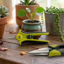 Carica l'immagine nel visualizzatore di Gallery, Spear &amp; Jackson Kew Gardens Urban Oasis Set Attrezzi Giardinaggio Balcone 4 Pezzi, Forbici, Cesoie Topiarie, Paletta e F