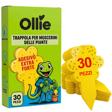 Carica l'immagine nel visualizzatore di Gallery, OLLIE Trappola per Moscerini delle Piante, 30 Trappole Cromotropiche Gialle