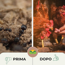 Carica l'immagine nel visualizzatore di Gallery, Albagarden Esca Formiche Veleno in Polvere per Casa, Esterni e Giardino