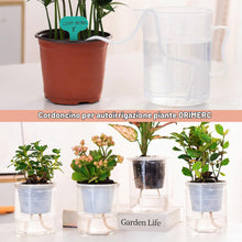 Carica l'immagine nel visualizzatore di Gallery, ORIMERC 30 pezzi netti pots da 7,6cm con stoppino idroponico da 9m, per acquaponica, vaso da muratore, secchielli per or