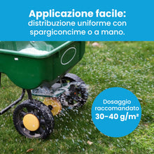 Carica l'immagine nel visualizzatore di Gallery, LERAVA® Solfato di Ferro (20m²) – Antimuschio per prato – Correttore pH e Anti-Ingiallimento – Antingiallente Fogliare –
