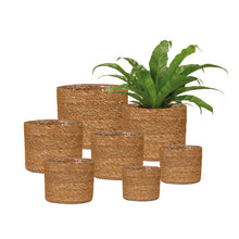 Carica l'immagine nel visualizzatore di Gallery, Scheurich Seegras 24 - Vaso da vimini in erba marina, diametro 24 cm, altezza 22,5 cm, 10,6 l Vol.