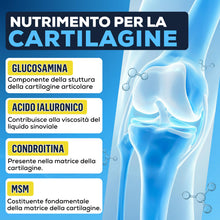 Carica l'immagine nel visualizzatore di Gallery, Italian Elite® Flex Articolazioni, Ossa e Cartilagini. Integratore con Glucosamina, Condroitina, MSM, Collagene, Acido I