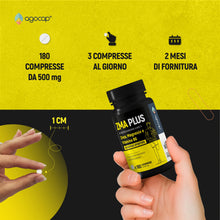 Carica l'immagine nel visualizzatore di Gallery, ZMA Alta Concentrazione 180 compresse. Integratore Testosterone Massa Muscolare a base di Zinco, Magnesio e Vitamina B6.