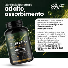 Carica l'immagine nel visualizzatore di Gallery, OVF Quercetina Liposomiale Pura 400 mg, 90 Capsule Vegetali ad Alta Biodisponibilità (Scorta 3 Mesi) Integratore di Quer