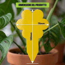 Carica l'immagine nel visualizzatore di Gallery, OLLIE Trappola per Moscerini delle Piante, 30 Trappole Cromotropiche Gialle