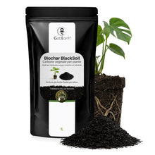 Carica l'immagine nel visualizzatore di Gallery, GebEarth® | Biochar Carbone Vegetale per Piante Premium 【1L】| Ammendante Naturale da Biomassa Legnosa | Migliora Fertili