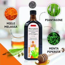 Carica l'immagine nel visualizzatore di Gallery, Dr. Theiss Mucoplant Piantaggine 250 ml - Sciroppo Gola e Vie Respiratorie, con Calmanti Naturali (Miele, Melassa, Menta