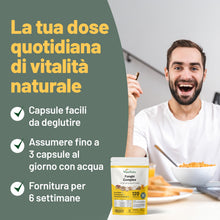 Carica l'immagine nel visualizzatore di Gallery, Vegan Vitality Integratore di 6 Funghi: Reishi, Lions Mane, Cordyceps, Chaga, Shiitake e Maitake - 120 Capsule da 500mg 