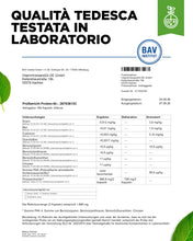 Carica l'immagine nel visualizzatore di Gallery, vit4ever Estratto di Astragalo 1400 mg – 50% Polisaccaridi – 180 Capsule