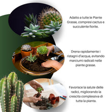 Carica l'immagine nel visualizzatore di Gallery, GebEarth® - Terriccio Professionale per Piante Grasse e Succulente da 1 Litro【 Substrato ideale per Cactacee e altre Pia