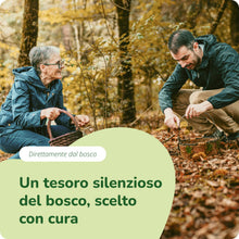 Carica l'immagine nel visualizzatore di Gallery, MAITAKE BIO Vegavero® | con 50% di Polisaccaridi | 7500 mg (15:1) di estratto | 60 capsule | Vegan