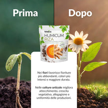 Carica l'immagine nel visualizzatore di Gallery, Biotica Humicum Riza Humus di Lombrico con Micorrize e Trichoderma 6L