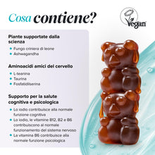 Carica l'immagine nel visualizzatore di Gallery, Focus Bambini Gommose | 30 Nootropiche | Criniera Leone, Ginseng | Novomins