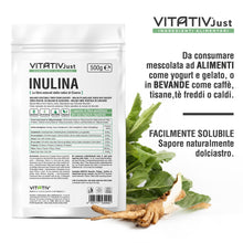 Carica l'immagine nel visualizzatore di Gallery, VITATIV Inulina da Cicoria in Polvere Pura 500g | Fibra Vegetale Prebiotica da Radici di Cicoria | ALTA QUALITA