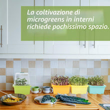 Carica l'immagine nel visualizzatore di Gallery, Vassoi per Microverde LUVCSOY con Coperchio, Kit di Germinazione con Cupola per Umidità e Fori da 3 mm, Senza BPA, per S