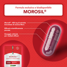 Carica l'immagine nel visualizzatore di Gallery, Morosil® 400 mg | 30 Capsule Vegane | Nutrimea