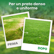 Carica l'immagine nel visualizzatore di Gallery, LERAVA® Concime Liquido Prato (700ml) – Nutre, Rinforza e Colora – Aumenta Densità, Resistenza e Radici – Ideale per Tap