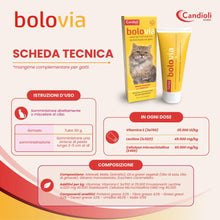 Carica l'immagine nel visualizzatore di Gallery, Bolo Via Pasta 50 g Nuova Formula