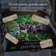 Carica l'immagine nel visualizzatore di Gallery, LERAVA® x Profarms - Microgreens Mix [BIO] - set di semi per germogli - 6 varietà di semi di crescione + pannelli in fib