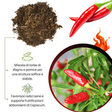 Carica l'immagine nel visualizzatore di Gallery, GebEarth® | Terriccio Professionale per Peperoncini da 5 Litri | Substrato per Semina e Coltivazione, per Tutte Le varie