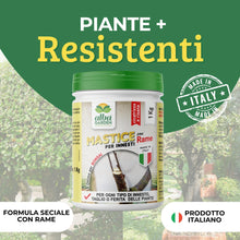 Carica l'immagine nel visualizzatore di Gallery, Albagarden - Mastice Per Innesti E Potature ++ Con Rame ++ Antibatterico Pasta Cicatrizzante Curativa Per Ferite Piante 