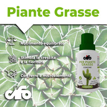 Carica l'immagine nel visualizzatore di Gallery, CIFO - Concime Piante Grasse Liquido, Fertilizzante Piante Succulente Arricchito con Ferro e Microelementi - Favorisce u