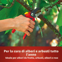 Carica l'immagine nel visualizzatore di Gallery, Wolf-Garten 73BFA005650 RS 4000 Premium Plus Cesoie a Battente, Rosso/grigio, 14x19x29 cm