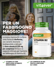 Carica l'immagine nel visualizzatore di Gallery, vit4ever Vitamina B2 (Riboflavina) - 365 Compresse - 250 mg