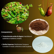 Carica l'immagine nel visualizzatore di Gallery, GebEarth® | Terriccio Piante Carnivore | pH Acido 3,9 | Miscela Professionale con Torba Bionda Acida di Sfagno e Perlite