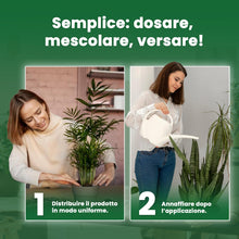 Carica l'immagine nel visualizzatore di Gallery, LERAVA Fertilizzante piante verdi al coperto (800 g) - Fertilizzante biologico con ferro e manganese per fogliame vigoro