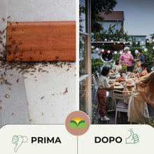 Carica l'immagine nel visualizzatore di Gallery, Albagarden - Insetticida Gel Formiche - Esca formiche ad Azione Ritardata Per Eliminare La Colonia - Veleno Pronto All'u