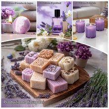 Carica l'immagine nel visualizzatore di Gallery, Olio Essenziale Lavanda 30 ml – olio essenziale di lavanda 100% naturale, da Lavandula angustifolia, ideale per aromater