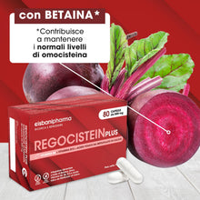 Carica l'immagine nel visualizzatore di Gallery, CISBANI PHARMA Regocistein Plus Vitamina B12, Acido Folico in Forma Attiva