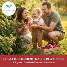 Carica l'immagine nel visualizzatore di Gallery, Magic of Nature: Semi di Lampone Rosso circa 50 Pz