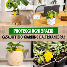 Carica l'immagine nel visualizzatore di Gallery, Super Ninja Trappole Moscerini Piante da Interno, 30 Pezzi