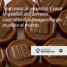 Carica l'immagine nel visualizzatore di Gallery, URVI® Nerve – Integratore alimentare in forma di caramelle gommose con KSM-66® Ashwagandha, estratto di Reishi, vitamine