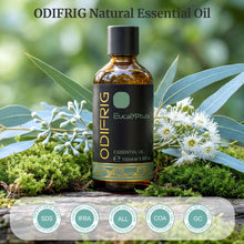 Carica l'immagine nel visualizzatore di Gallery, Olio Essenziale di Eucalipto 100 ml, Essenza Naturale per Diffusore di Aromi, Aromaterapia, Umidificatore e Massaggi, Ar