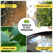 Carica l'immagine nel visualizzatore di Gallery, Albagarden Larvicida Zanzare Pastiglie 40 g, per Giardino Disinfestazione Pozzetti Tombini e Acqua Stagnante, Protezione