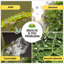 Carica l'immagine nel visualizzatore di Gallery, Albagarden - Concime Per Piante BIO a base di Panelli di NEEM - Ottimo Contrasto a Insetti e Malattie delle piante - Nee