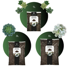 Carica l'immagine nel visualizzatore di Gallery, GebEarth® - Terriccio Professionale per Piante Grasse e Succulente da 1 Litro【 Substrato ideale per Cactacee e altre Pia