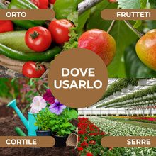 Carica l'immagine nel visualizzatore di Gallery, Zeolite per agricoltura x 1 KG - Polvere di roccia, Potenziatore delle difese naturali Effetto Insetticida e Fungicida -