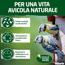 Carica l'immagine nel visualizzatore di Gallery, Eggersmann volaris Gnocchi di cince con rete da 30 pezzi [palline di cincia] 2,9 kg – Mangime per uccelli selvatici – Gn
