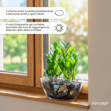 Carica l'immagine nel visualizzatore di Gallery, KONZEPT Vaso da fiori grande per interni per orchidee, ovale, trasparente, decorazione per piante e piante grasse
