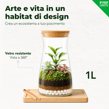 Carica l'immagine nel visualizzatore di Gallery, Kit Terrarium con Vaso in Vetro