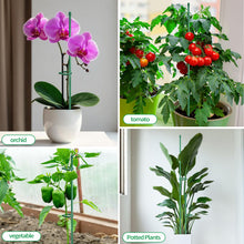 Carica l'immagine nel visualizzatore di Gallery, Tutore per Piante 20 Pezzi Sostegno per Piante con 20 Moschettoni 10 Collegamento Tubis Plant Stand Bastone per Piantes 